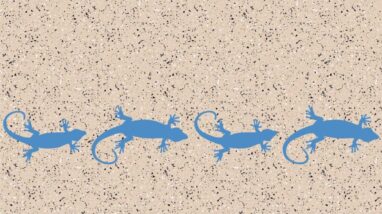 Terrassi või rõdu põranda kaunistused vedelplastiga