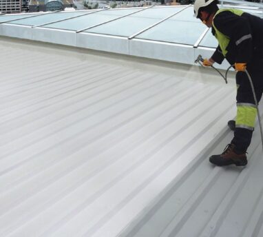 Plekk katuse värvimine. Triflex Metal Coat