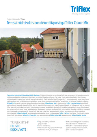 Projekti ulevaade Vihula